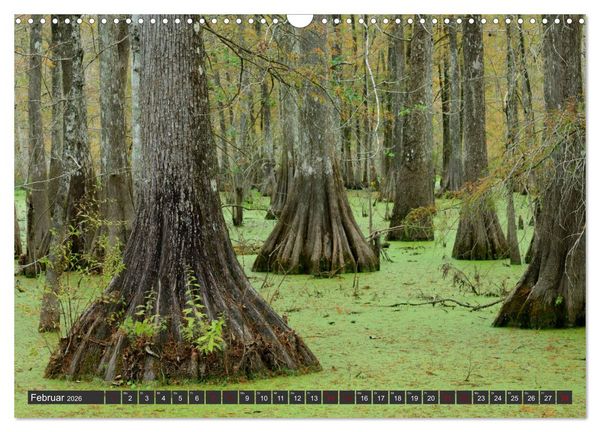 Produktbild: Natur Paradies Mississippi Delta (Wandkalender 2026 DIN A3 quer), CALVENDO Monatskalender