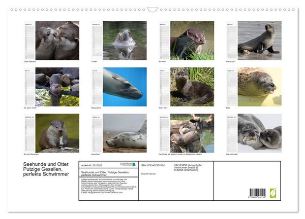 Produktbild: Seehunde und Otter. Putzige Gesellen, perfekte Schwimmer (Wandkalender 2026 DIN A2 quer), CALVENDO Monatskalender