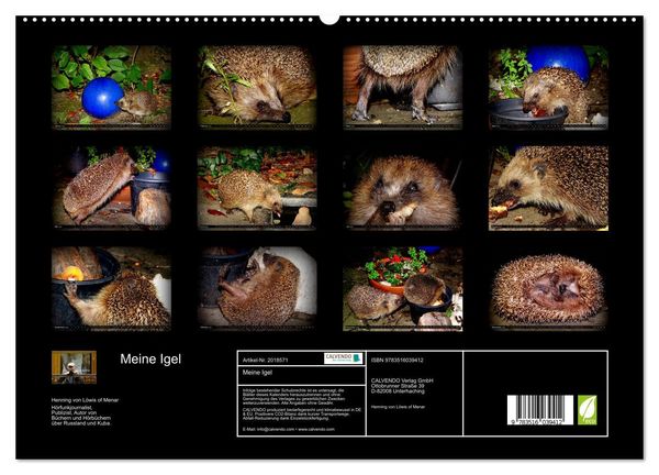 Produktbild: Meine Igel (hochwertiger Premium Wandkalender 2026 DIN A2 quer), Kunstdruck in Hochglanz