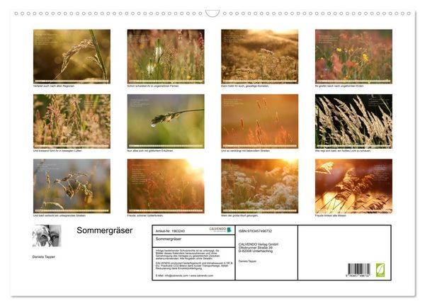 Produktbild: Sommergr&auml;ser (Wandkalender 2026 DIN A2 quer), CALVENDO Monatskalender