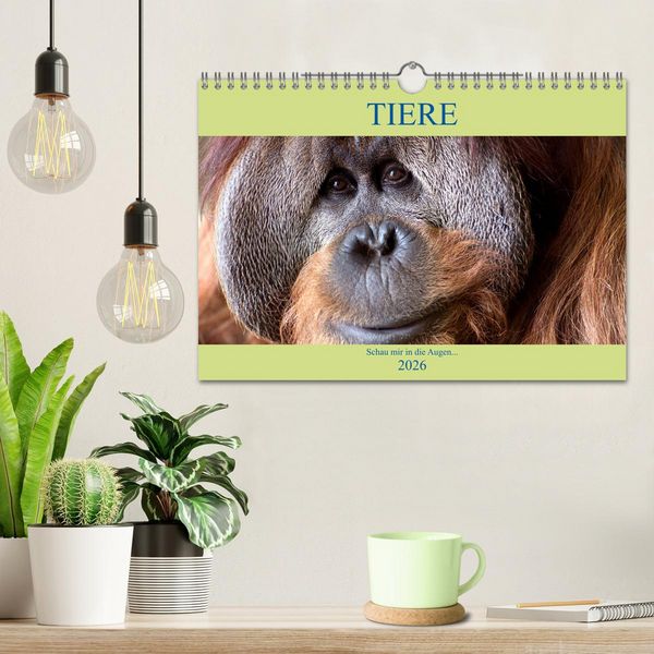 Produktbild: Tiere Schau mir in die Augen (Wandkalender 2026 DIN A4 quer), CALVENDO Monatskalender