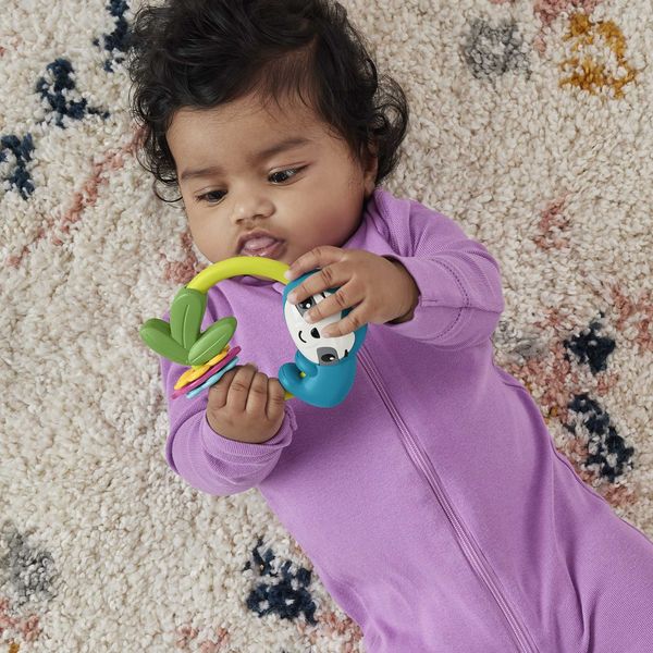 Produktbild: Fisher-Price Tierische-Aktivit&auml;ts Bei&szlig;ringe