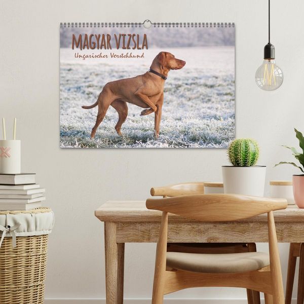 Produktbild: Magyar Vizsla - Ungarischer Vorstehhund (Wandkalender 2026 DIN A3 quer), CALVENDO Monatskalender