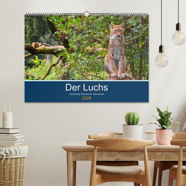 Produktbild: Der Luchs - Hochbeinig, Pinselohren, Backenbart (Wandkalender 2026 DIN A2 quer), CALVENDO Monatskalender