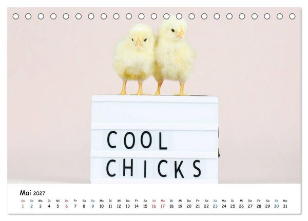 Produktbild: Tierkinder ganz frech (Tischkalender 2027 DIN A5 quer), CALVENDO Monatskalender