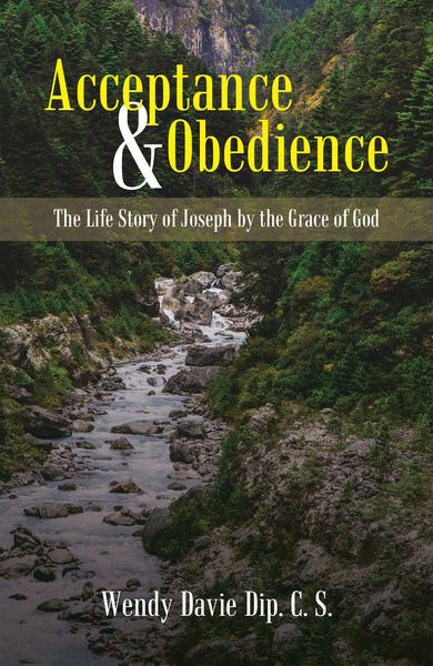 Produktbild: Acceptance & Obedience