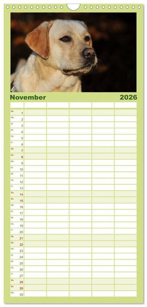 Produktbild: Familienplaner 2026 - Labrador Retriever 2026 mit 5 Spalten (Wandkalender, 21 x 45 cm) CALVENDO