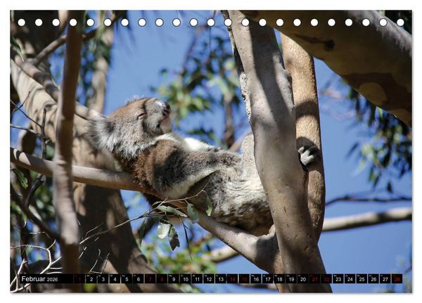 Produktbild: West-Australien (Tischkalender 2026 DIN A5 quer), CALVENDO Monatskalender