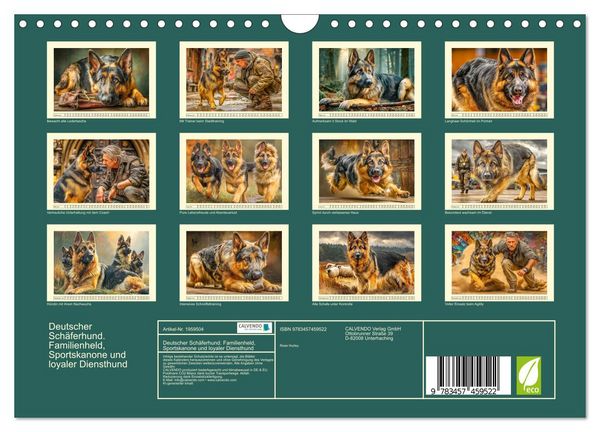 Produktbild: Deutscher Sch&auml;ferhund. Familienheld, Sportskanone und loyaler Diensthund (Wandkalender 2026 DIN A4 quer), CALVENDO Monatskalender