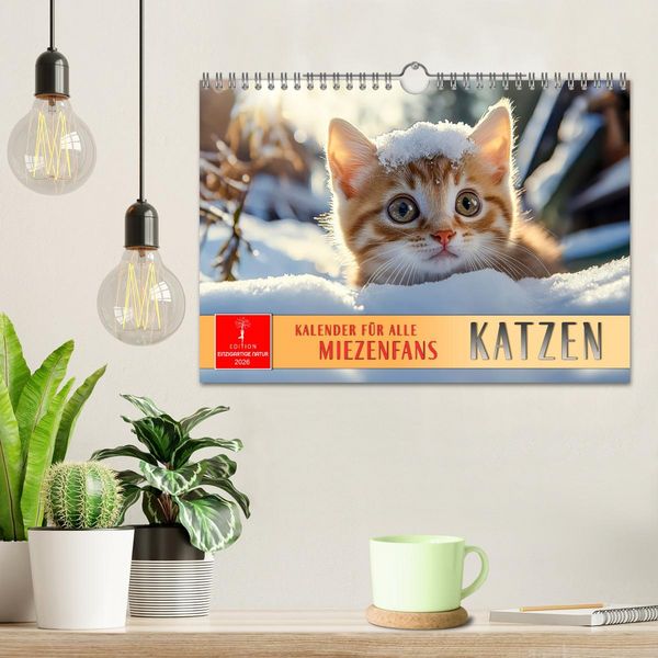 Produktbild: Katzen - Kalender f&uuml;r alle Miezenfans (Wandkalender 2026 DIN A4 quer), CALVENDO Monatskalender
