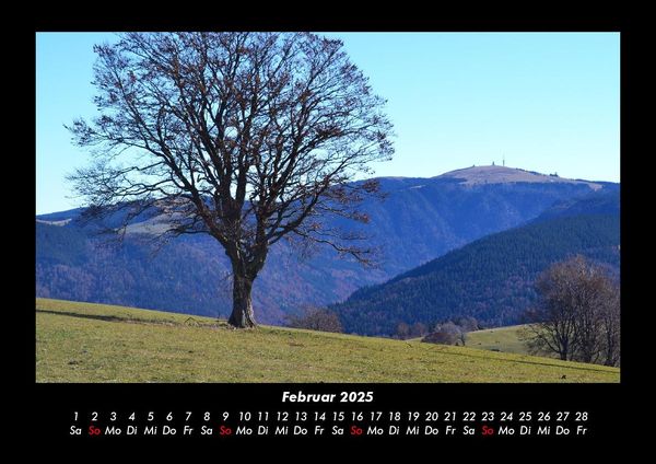 Produktbild: Landschaftskalender 2025 Fotokalender DIN A3