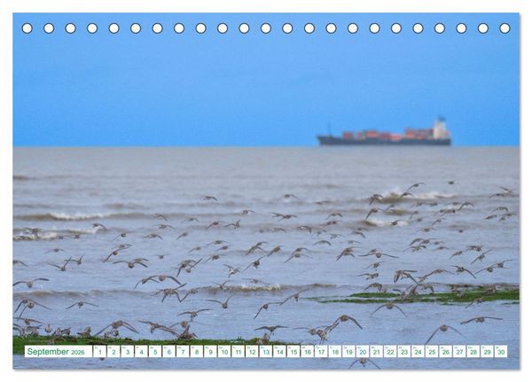 Produktbild: Schillig und Horumersiel - Im Wangerland unterwegs (Tischkalender 2026 DIN A5 quer), CALVENDO Monatskalender