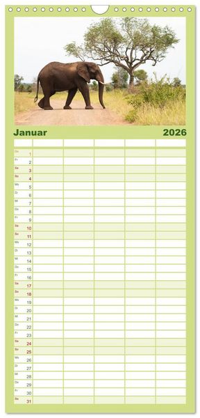 Produktbild: Familienplaner 2026 - Tierische Gl&uuml;cksmomente mit 5 Spalten (Wandkalender, 21 x 45 cm) CALVENDO