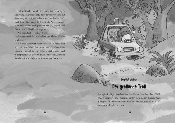 Produktbild: Der kleine Notarztdrache