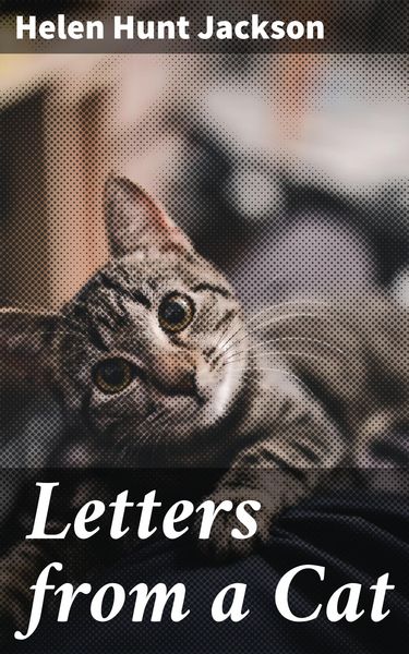 Produktbild: Letters from a Cat