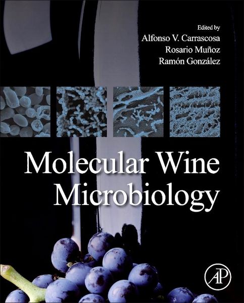 Produktbild: Molecular Wine Microbiology