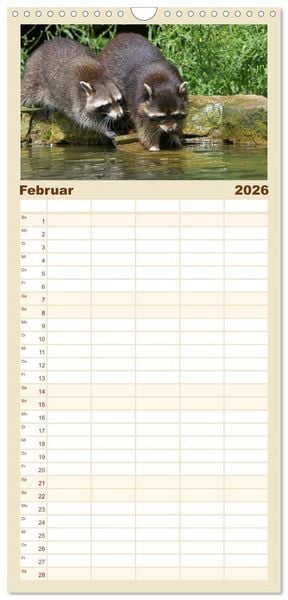 Produktbild: Familienplaner 2026 - Waschb&auml;ren mit 5 Spalten (Wandkalender, 21 x 45 cm) CALVENDO