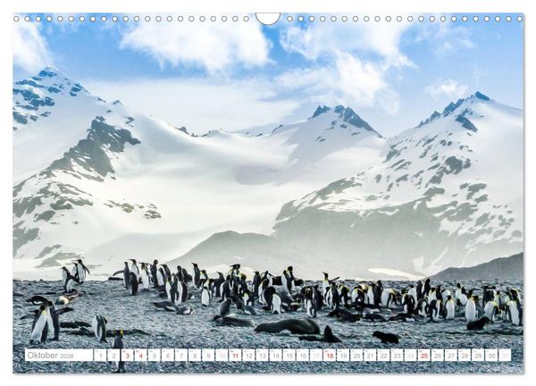 Produktbild: Antarktis - Das Reich der Pinguine (Wandkalender 2026 DIN A3 quer), CALVENDO Monatskalender