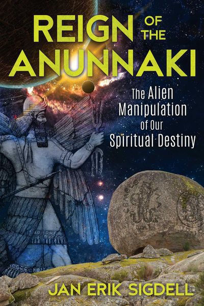Produktbild: Reign of the Anunnaki