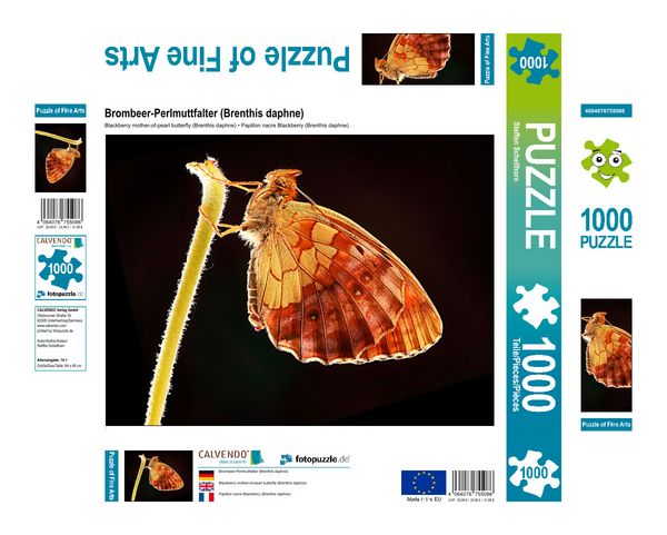 Produktbild: CALVENDO Puzzle Brombeer-Perlmuttfalter (Brenthis daphne) | 1000 Teile Lege-Gr&ouml;&szlig;e 64x48cm Foto-Puzzle f&uuml;r gl&uuml;ckliche Stunden