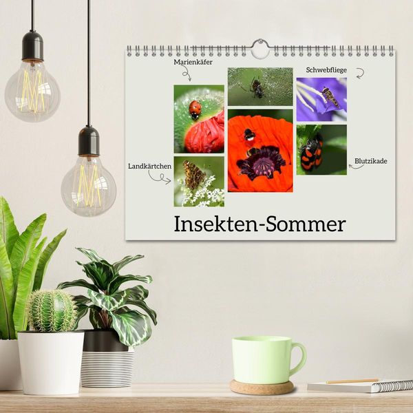 Produktbild: Insekten-Sommer (Wandkalender 2026 DIN A4 quer), CALVENDO Monatskalender