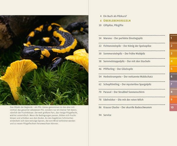 Produktbild: 10 Pilze