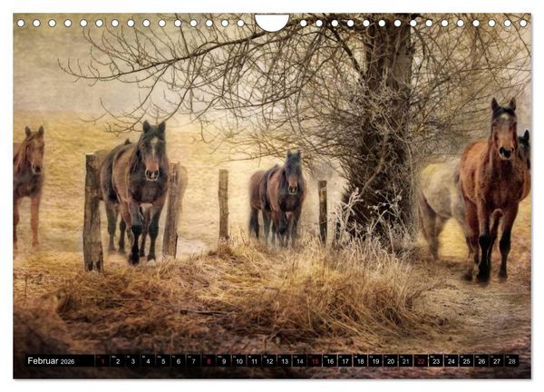 Produktbild: Western-Feeling (Wandkalender 2026 DIN A4 quer), CALVENDO Monatskalender