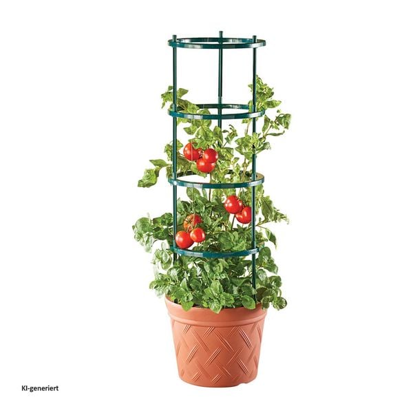Produktbild: HTI-Living Pflanztopf Nessa Terracotta mit Rankhilfe Pflanztopf Nessa Terracotta mit Rankhilfe