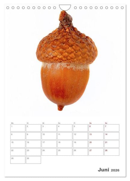 Produktbild: Planen mit dem Symbol der inneren St&auml;rke (Wandkalender 2026 DIN A4 hoch), CALVENDO Monatskalender