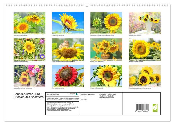 Produktbild: Sonnenblumen. Das Strahlen des Sommers (hochwertiger Premium Wandkalender 2026 DIN A2 quer), Kunstdruck in Hochglanz