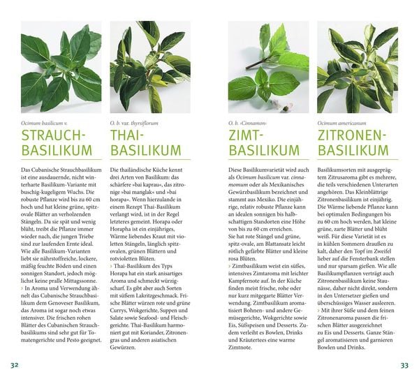 Produktbild: Kräuter