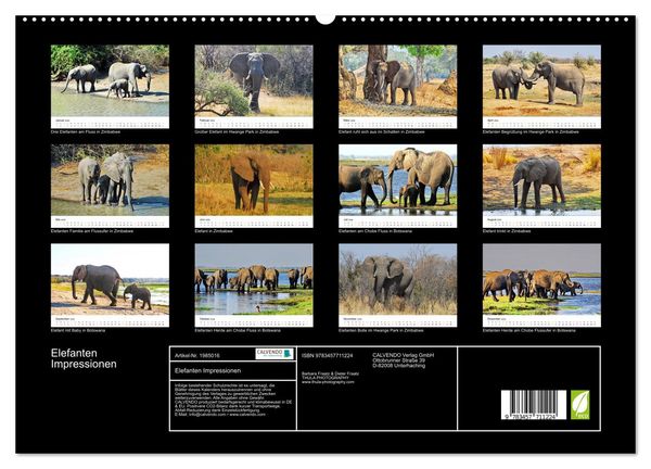 Produktbild: Elefanten Impressionen (hochwertiger Premium Wandkalender 2026 DIN A2 quer), Kunstdruck in Hochglanz