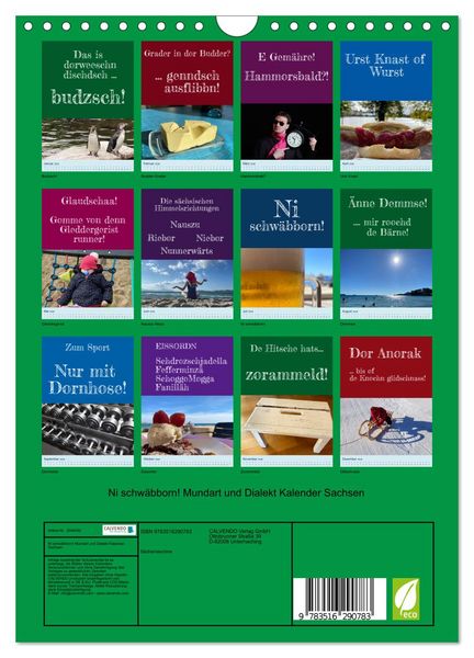 Produktbild: Ni schw&auml;bborn! Mundart und Dialekt Kalender Sachsen (Wandkalender 2026 DIN A4 hoch), CALVENDO Monatskalender