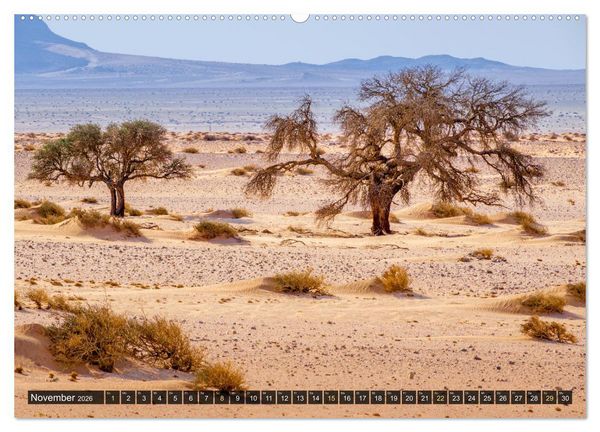 Produktbild: Zwischen Namib und Kalahari (hochwertiger Premium Wandkalender 2026 DIN A2 quer), Kunstdruck in Hochglanz