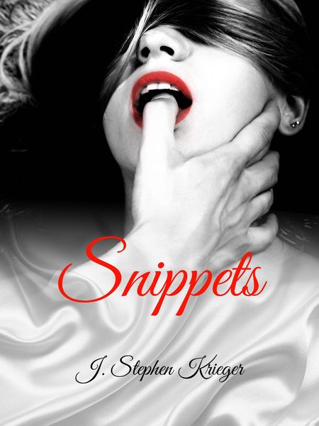 Produktbild: Snippets
