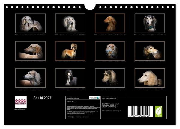 Produktbild: Saluki 2027 (Wandkalender 2027 DIN A4 quer), CALVENDO Monatskalender