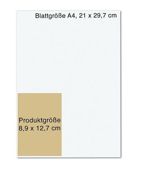 Produktbild: Das Orakel der Priesterinnen des Lichts