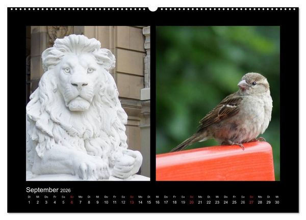 Produktbild: Ulmer Spatzen (Wandkalender 2026 DIN A2 quer), CALVENDO Monatskalender
