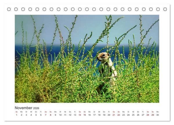 Produktbild: Fuerteventura - Bildsch&ouml;n (Tischkalender 2026 DIN A5 quer), CALVENDO Monatskalender