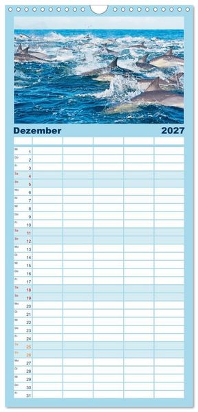 Produktbild: Familienplaner 2027 - Delfine: Elegante Wellenreiter mit 5 Spalten (Wandkalender, 21 x 45 cm) CALVENDO
