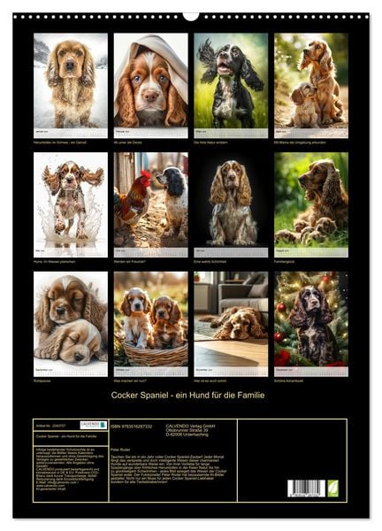 Produktbild: Cocker Spaniel - ein Hund f&uuml;r die Familie (Wandkalender 2026 DIN A2 hoch), CALVENDO Monatskalender