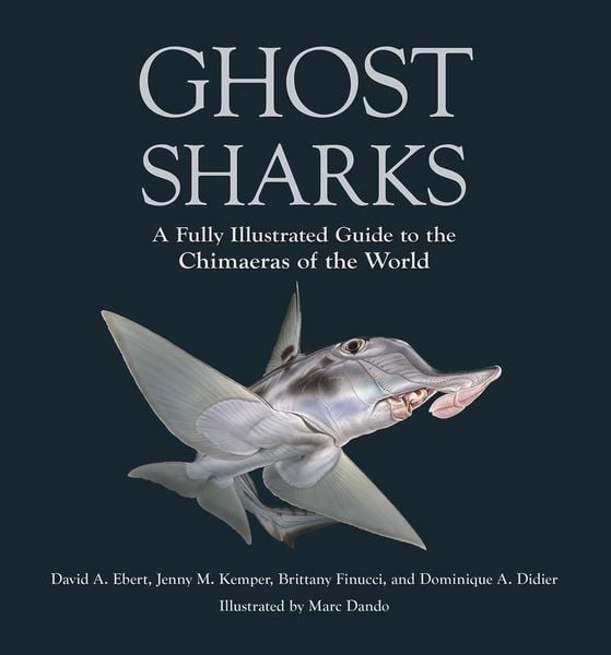 Produktbild: Ghost Sharks