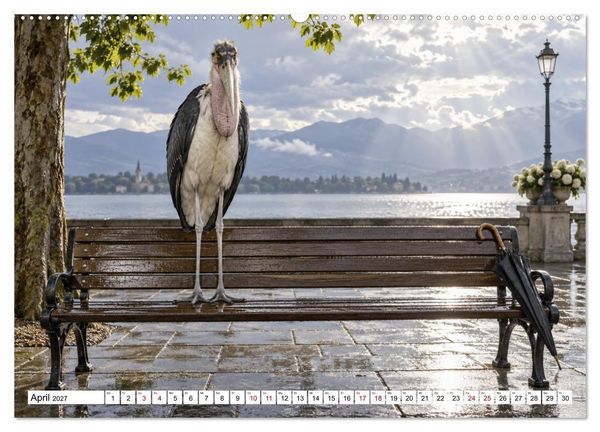 Produktbild: NICHT MEIN PROBLEM - Tiere mit Charakter (Wandkalender 2027 DIN A2 quer), CALVENDO Monatskalender