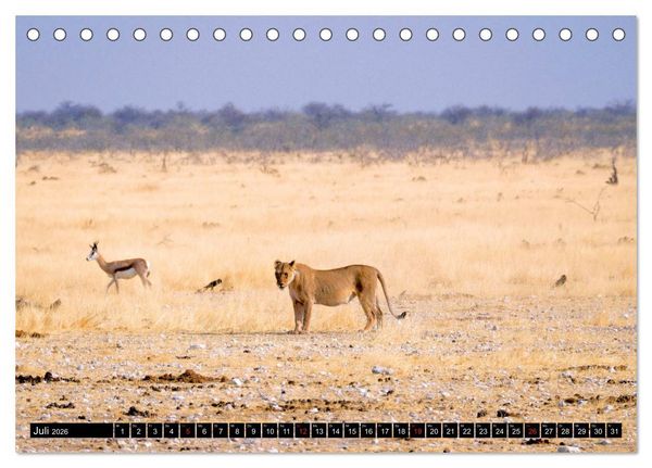 Produktbild: S&uuml;dliches Afrika - Vom Kap bis zu den Victoria F&auml;llen (Tischkalender 2026 DIN A5 quer), CALVENDO Monatskalender