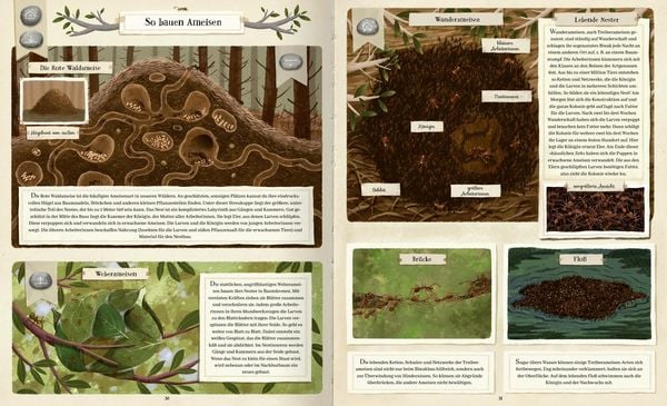 Produktbild: Tierisch gut gebaut &ndash; Von Nestern, H&ouml;hlen und anderen Tierwohnungen