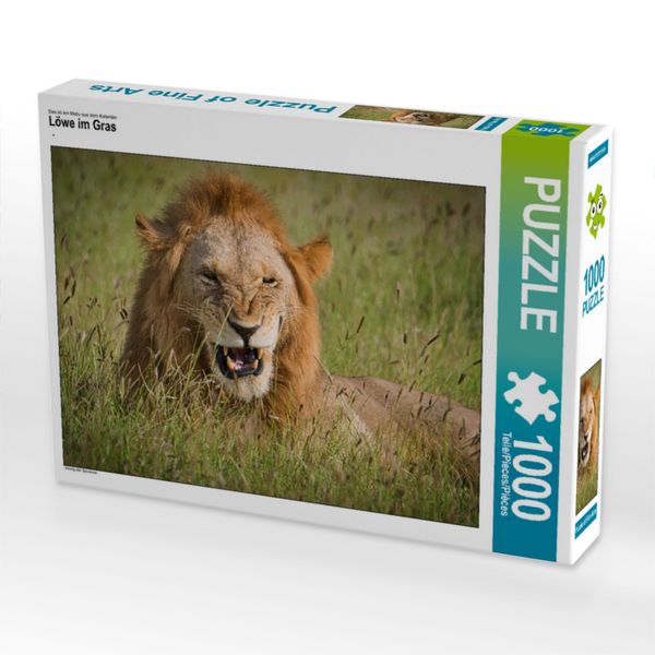 Produktbild: CALVENDO Puzzle L&ouml;we im Gras | 1000 Teile Lege-Gr&ouml;&szlig;e 64x48cm Foto-Puzzle f&uuml;r gl&uuml;ckliche Stunden