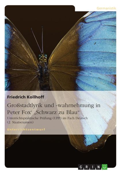 Produktbild: Gro&szlig;stadtlyrik und -wahrnehmung in Peter Fox' "Schwarz zu Blau"