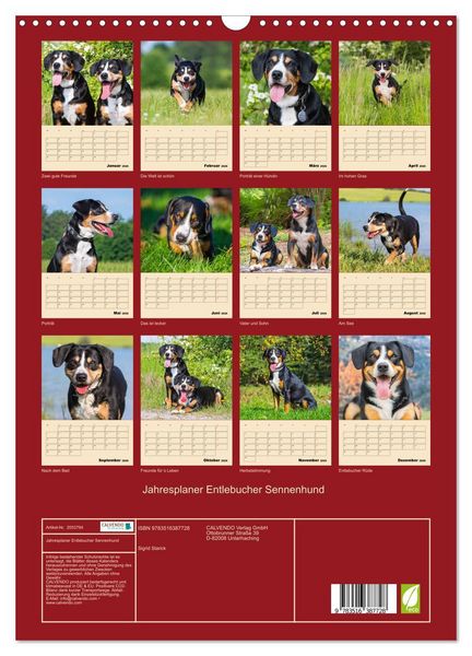 Produktbild: Jahresplaner Entlebucher Sennenhund (Wandkalender 2026 DIN A3 hoch), CALVENDO Monatskalender