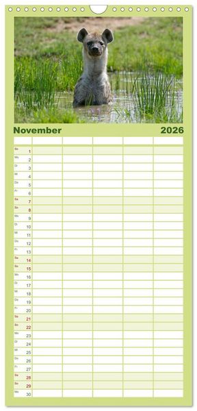 Produktbild: Familienplaner 2026 - Abenteuer Afrika - Im Paradies der Tiere mit 5 Spalten (Wandkalender, 21 x 45 cm) CALVENDO