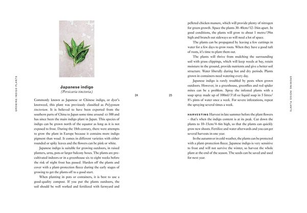 Produktbild: INDIGO PB